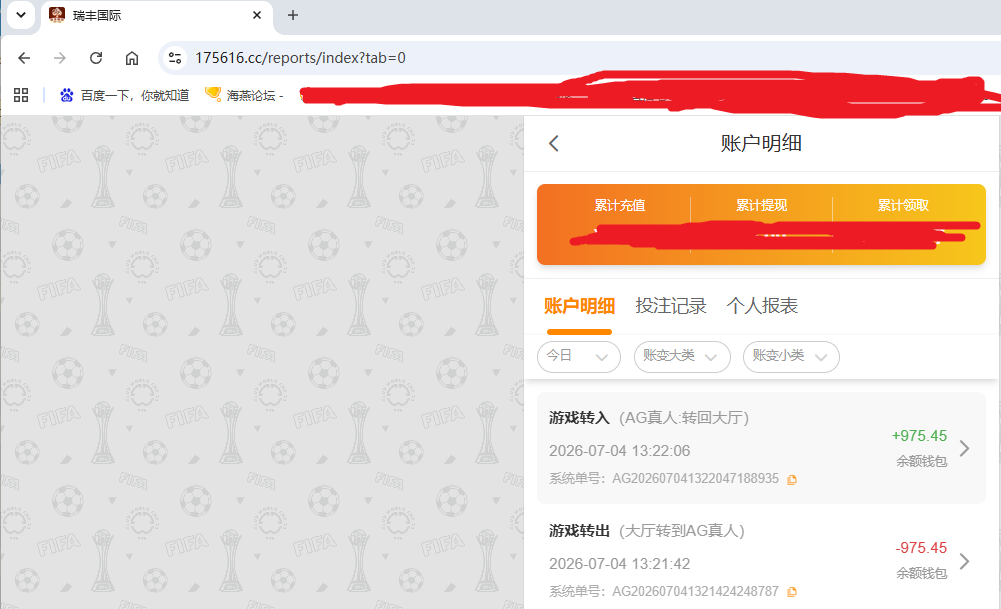 展现出资金图.png